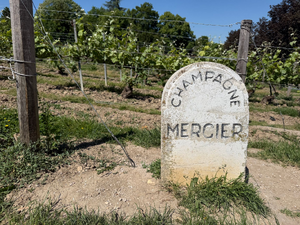 Pompes funèbres Meyzieu